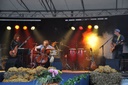 Espace Culturel de Vendenheim (2009)